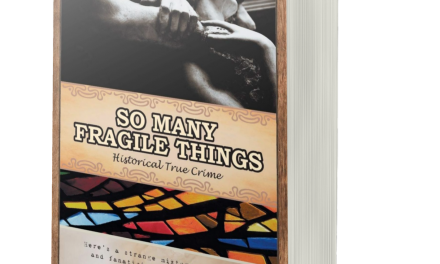 BOOK AWARD WINNER: SO MANY FRAGILE THINGS