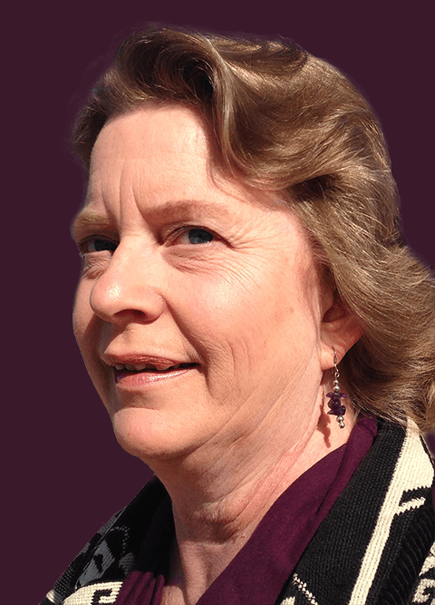 Sue Canfield nonfiction social media marketing consultant